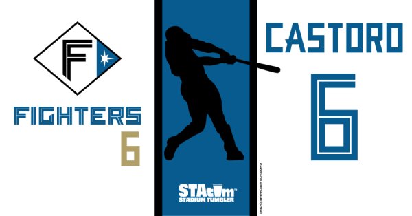 #6 CASTRO