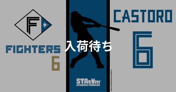 #6 CASTRO
