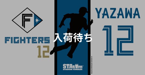 #12 YAZAWA