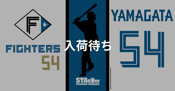 #54 YAMAGATA