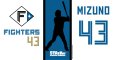 #43 MIZUNO