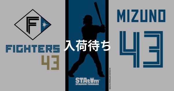 #43 MIZUNO