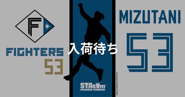 #53 MIZUTANI