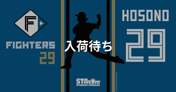 #29 HOSONO
