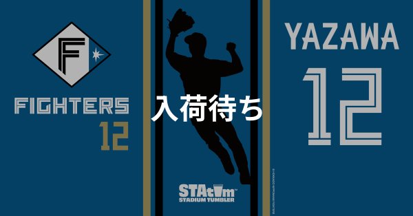 #12 YAZAWA