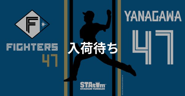 #47 YANAGAWA