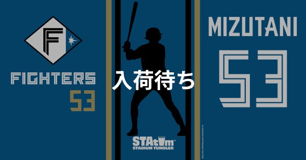 #53 MIZUTANI