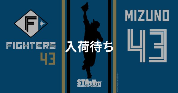 #43 MIZUNO