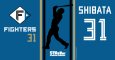 #31 SHIBATA
