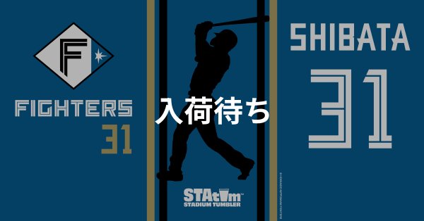 #31 SHIBATA