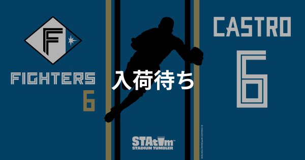 #6 CASTRO