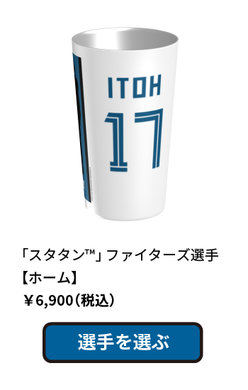 スタタン ファイターズ選手 ホーム