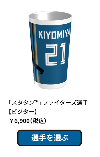 スタタン ファイターズ選手 ビジター